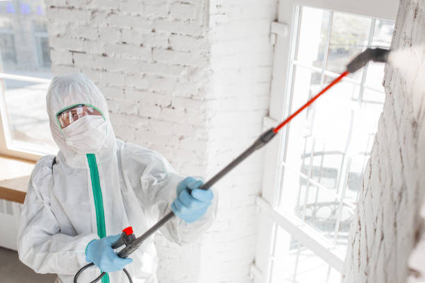 Best Asbestos and Lead Testing During Mold Inspection  in Wildwood, FL