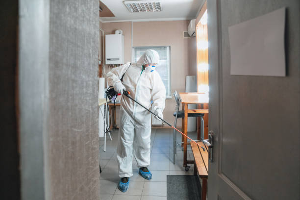 Best Commercial Mold Inspection  in Wildwood, FL