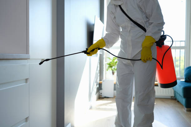 Best Industrial Mold Remediation  in Wildwood, FL