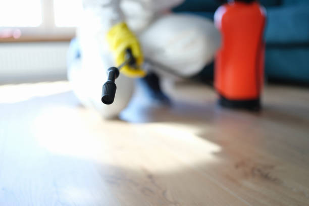 Best Mold Odor Removal Services  in Wildwood, FL