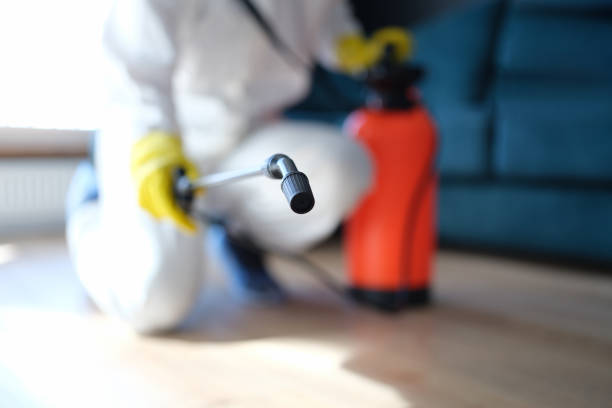 Best Forensic Mold Investigation  in Wildwood, FL